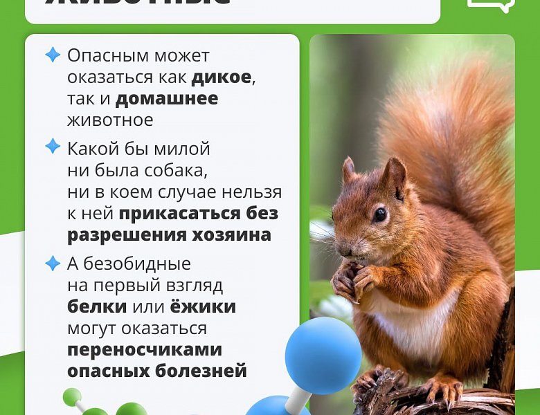 Правила безопасности летом